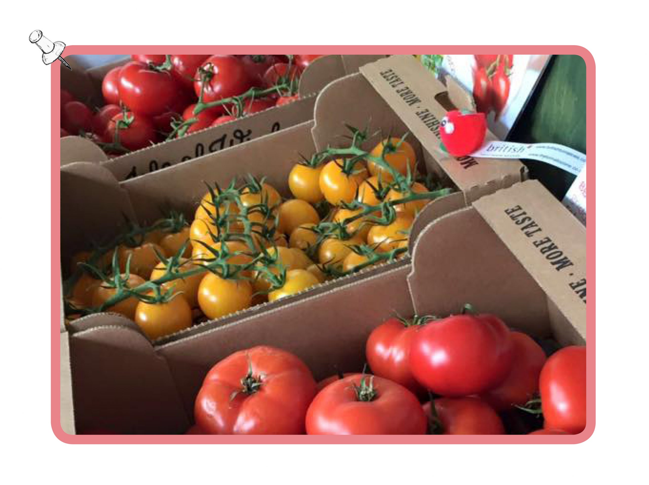 farmshop-tomatoes