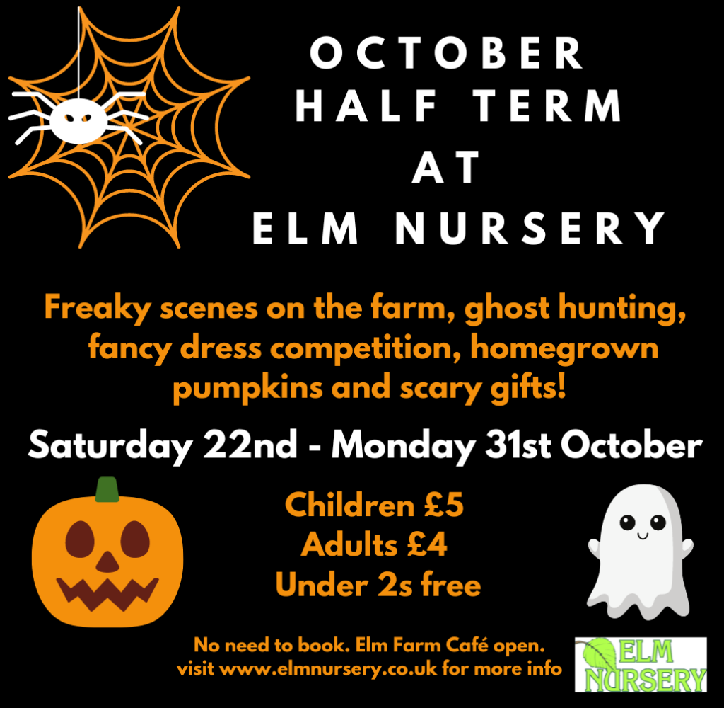 Children s Farm Archives Elm Nursery